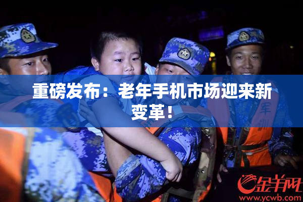 重磅发布：老年手机市场迎来新变革！