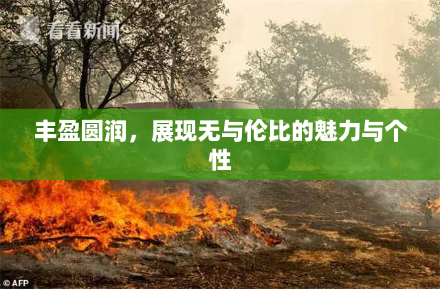 丰盈圆润，展现无与伦比的魅力与个性