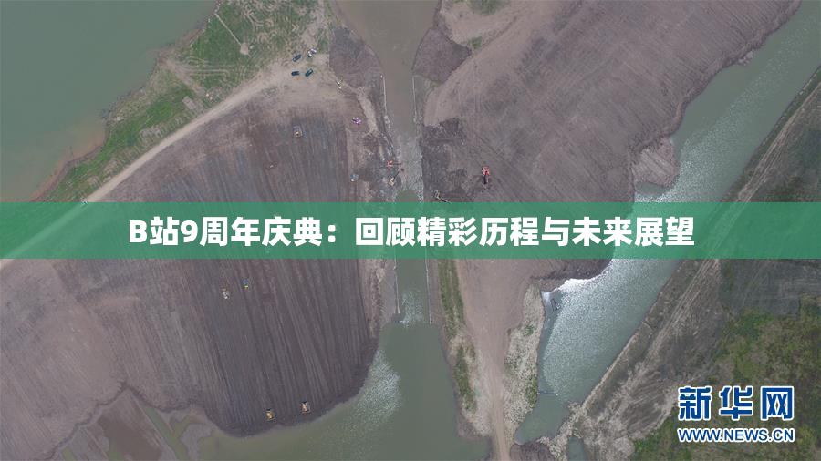 B站9周年庆典：回顾精彩历程与未来展望