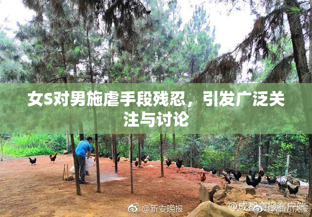 女S对男施虐手段残忍，引发广泛关注与讨论
