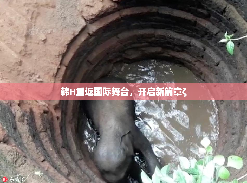 韩H重返国际舞台，开启新篇章ζ