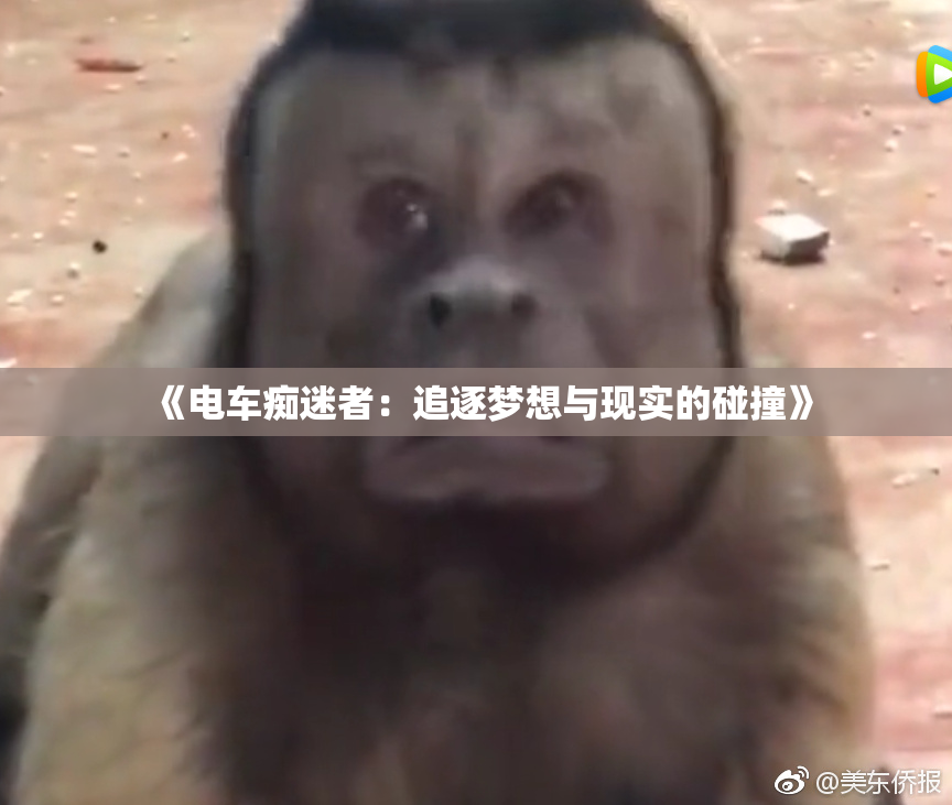 《电车痴迷者：追逐梦想与现实的碰撞》
