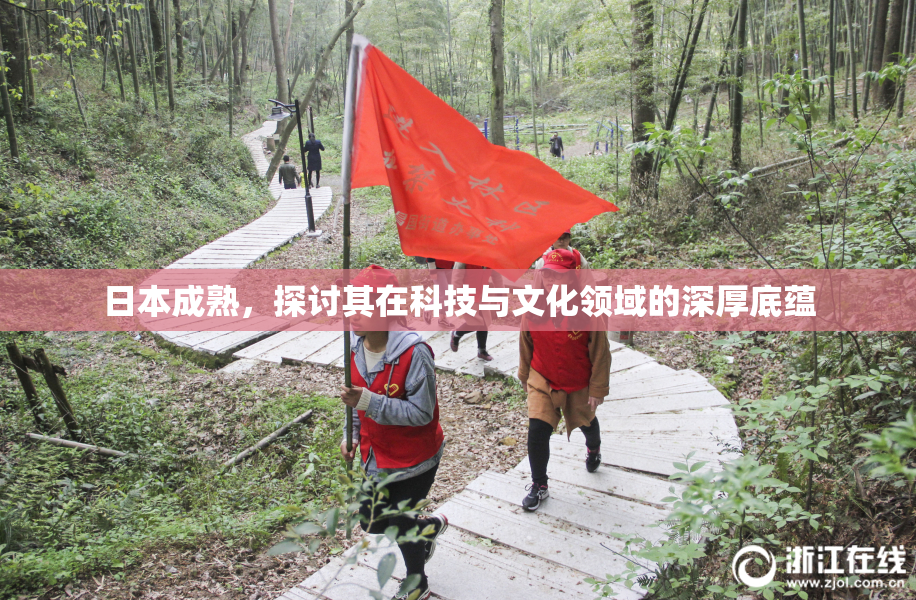日本成熟，探讨其在科技与文化领域的深厚底蕴