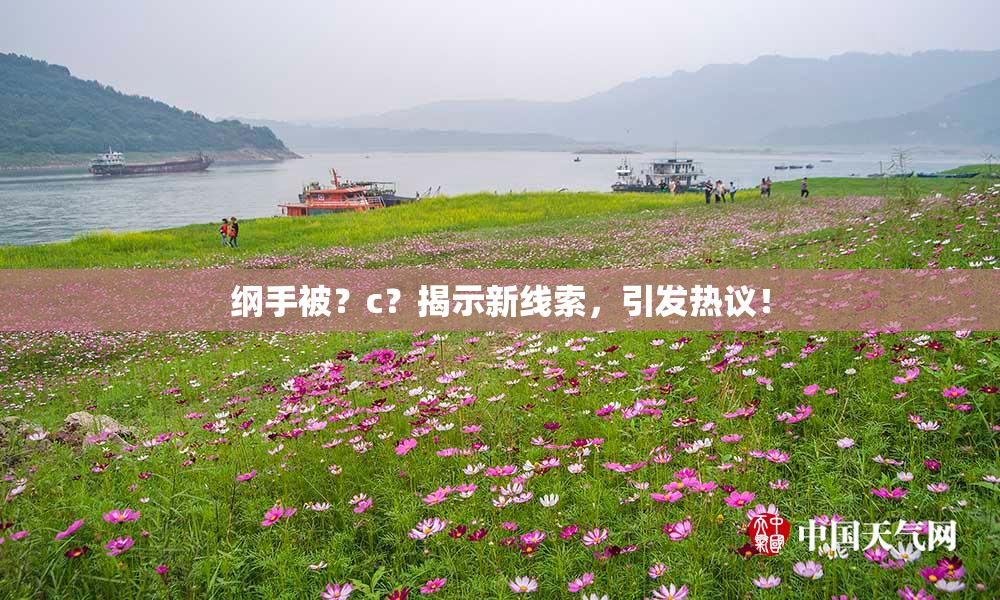纲手被？c？揭示新线索，引发热议！