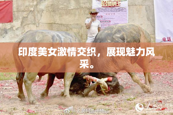 印度美女激情交织，展现魅力风采。