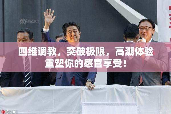 四维调教，突破极限，高潮体验重塑你的感官享受！