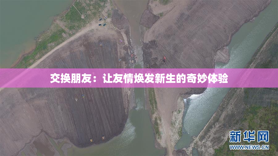 交换朋友：让友情焕发新生的奇妙体验