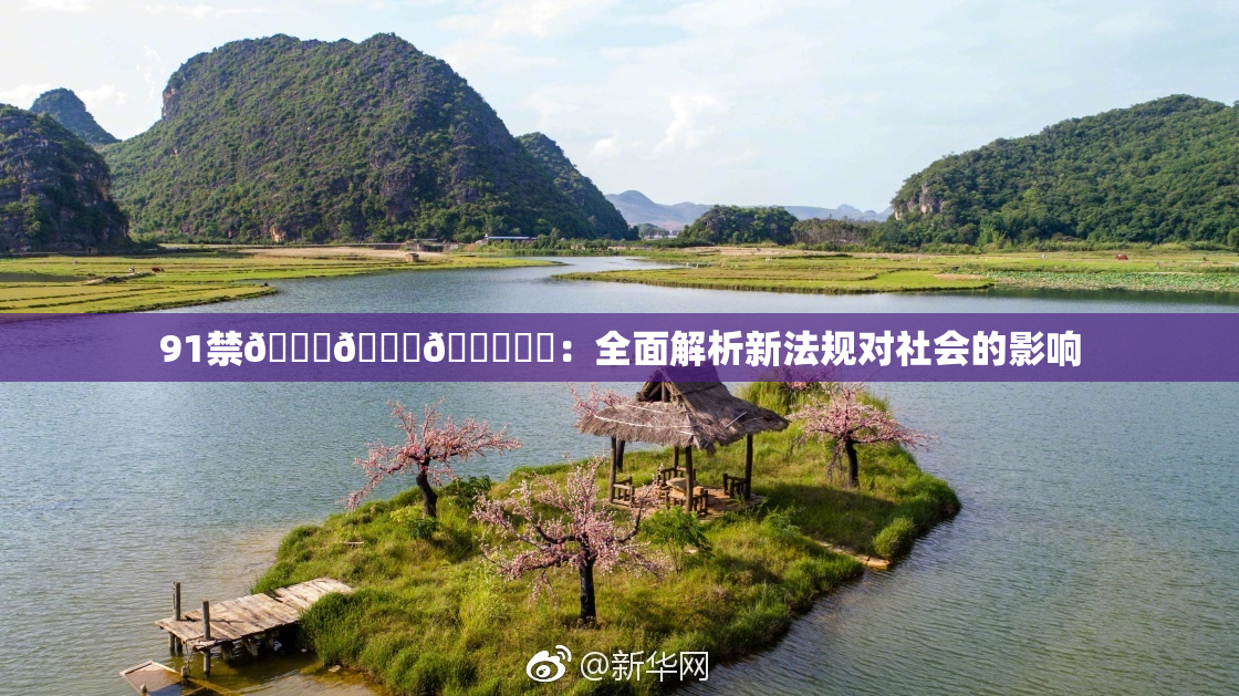 91禁🍆🍑🔞❌‌：全面解析新法规对社会的影响