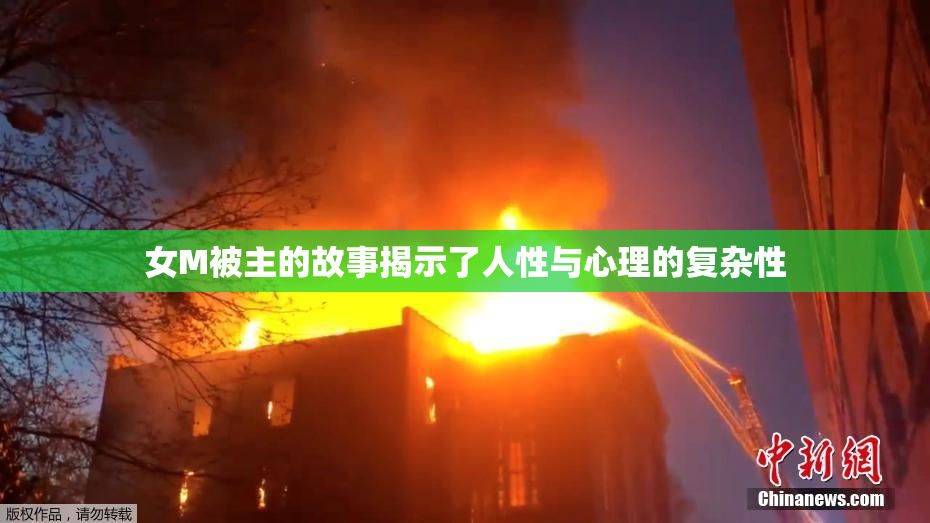 女M被主的故事揭示了人性与心理的复杂性
