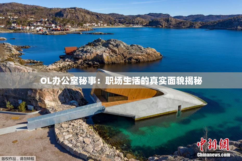 OL办公室秘事：职场生活的真实面貌揭秘