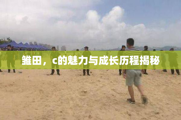 雏田，c的魅力与成长历程揭秘