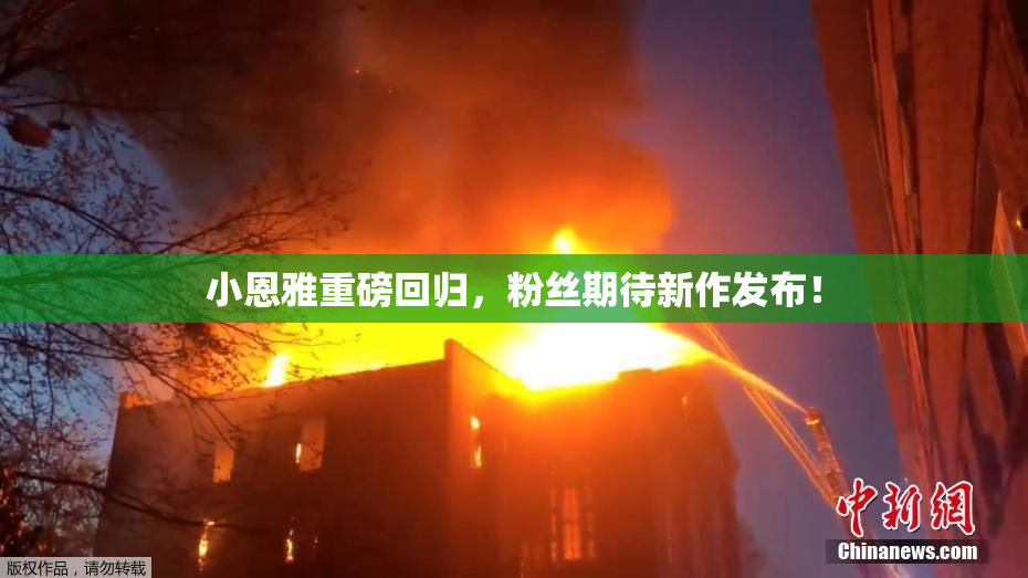 小恩雅重磅回归，粉丝期待新作发布！