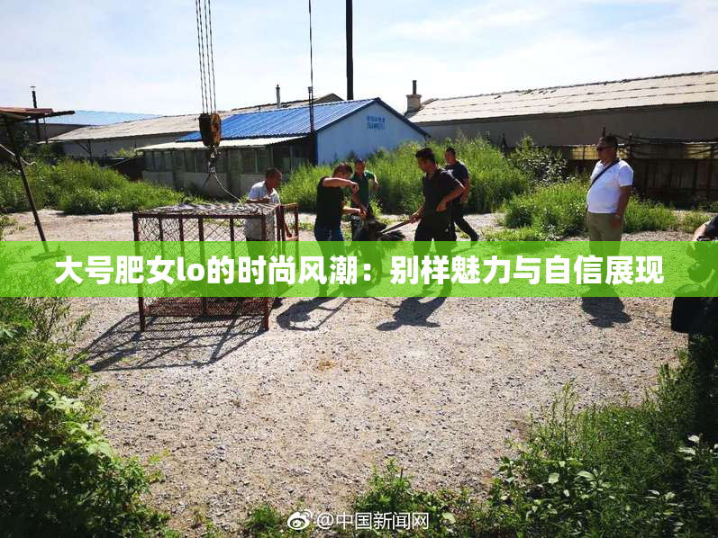 大号肥女lo的时尚风潮：别样魅力与自信展现