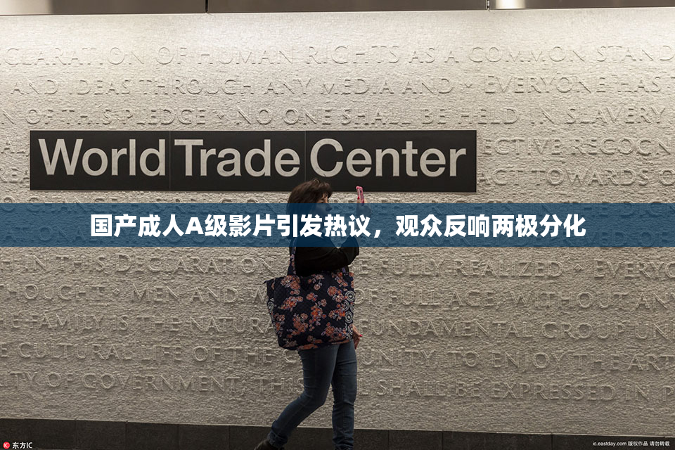 国产成人A级影片引发热议，观众反响两极分化