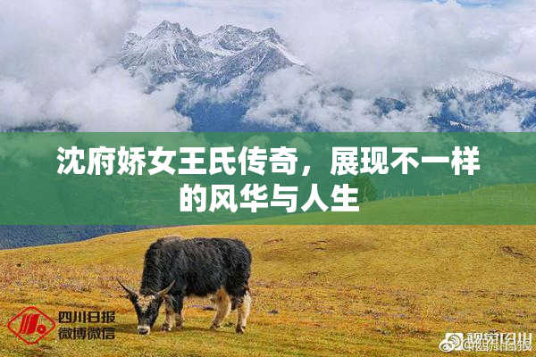 沈府娇女王氏传奇，展现不一样的风华与人生