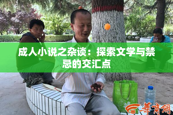 成人小说之杂谈：探索文学与禁忌的交汇点
