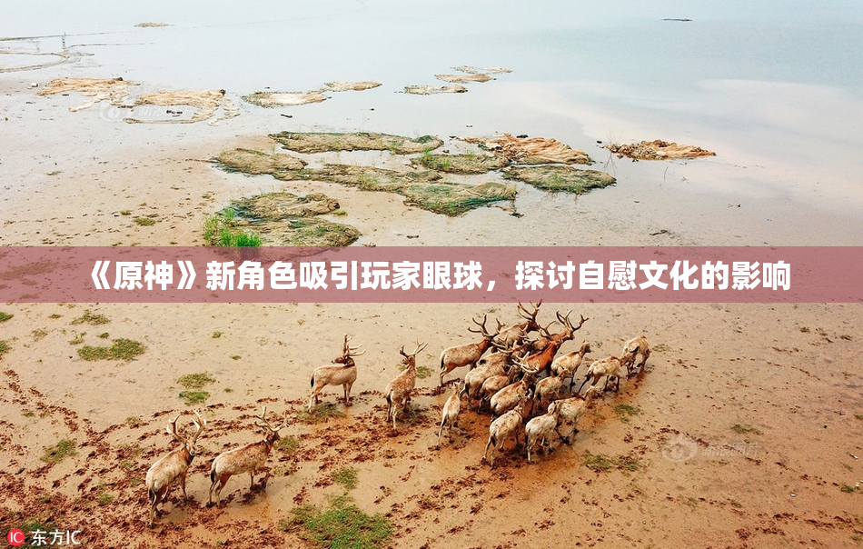 《原神》新角色吸引玩家眼球，探讨自慰文化的影响