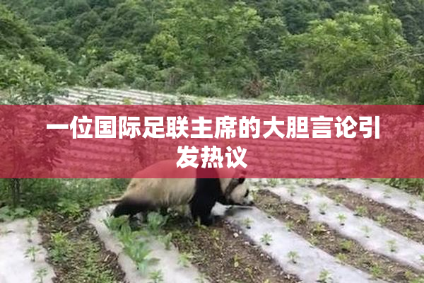 一位国际足联主席的大胆言论引发热议