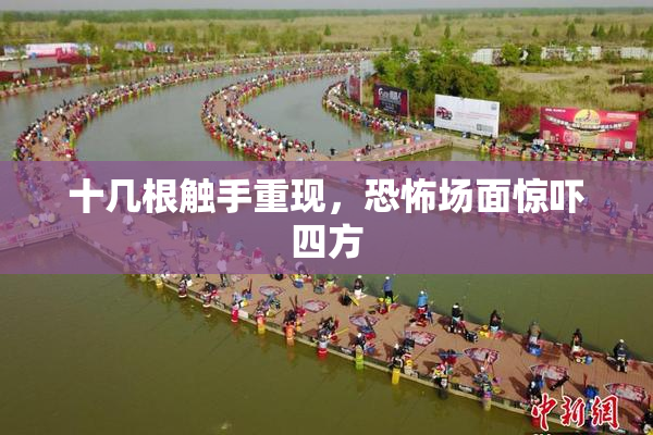 十几根触手重现，恐怖场面惊吓四方