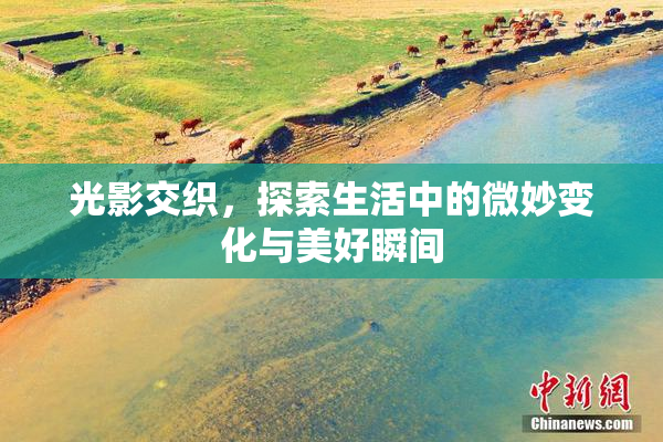 光影交织，探索生活中的微妙变化与美好瞬间