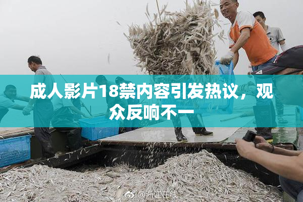 成人影片18禁内容引发热议，观众反响不一