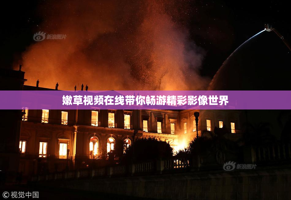 嫩草视频在线带你畅游精彩影像世界