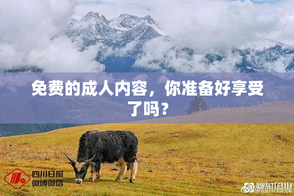 免费的成人内容，你准备好享受了吗？