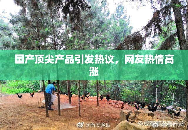 国产顶尖产品引发热议，网友热情高涨