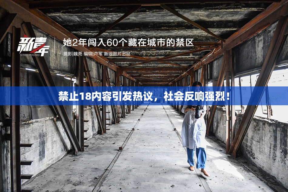 禁止18内容引发热议，社会反响强烈！
