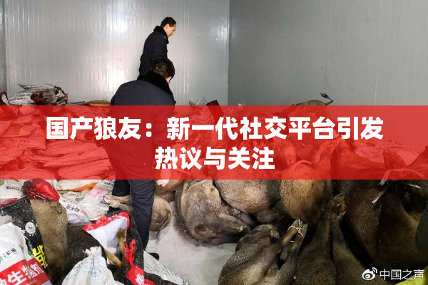 国产狼友：新一代社交平台引发热议与关注