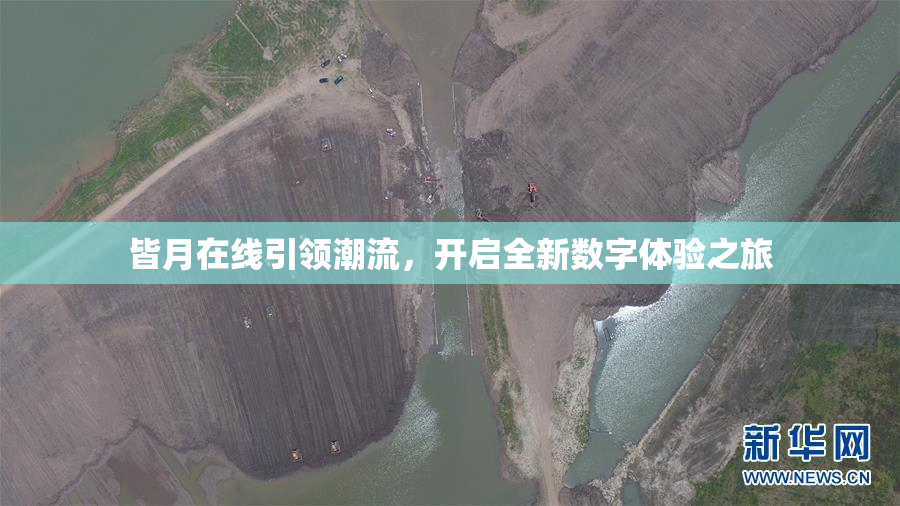 皆月在线引领潮流，开启全新数字体验之旅