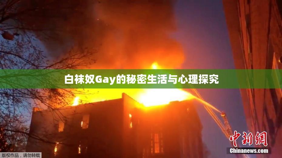 白袜奴Gay的秘密生活与心理探究