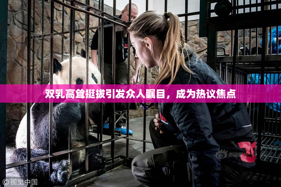 双乳高耸挺拔引发众人瞩目，成为热议焦点