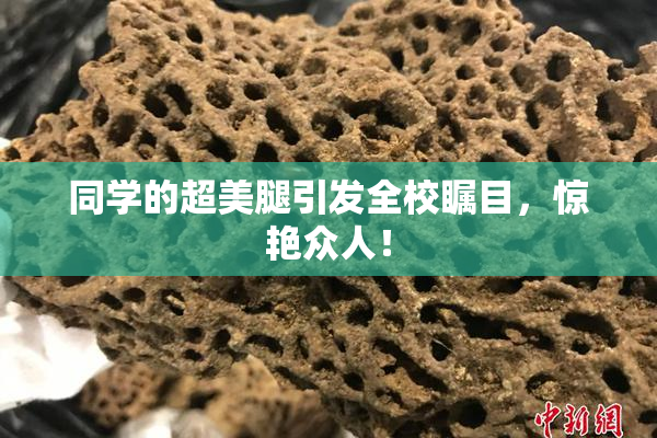 同学的超美腿引发全校瞩目，惊艳众人！
