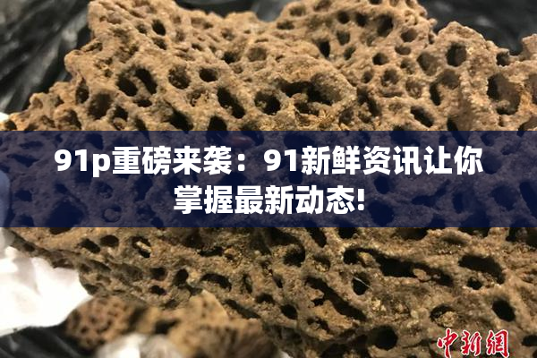 91p重磅来袭：91新鲜资讯让你掌握最新动态!