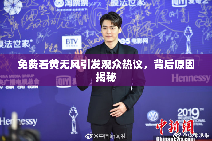 免费看黄无风引发观众热议，背后原因揭秘