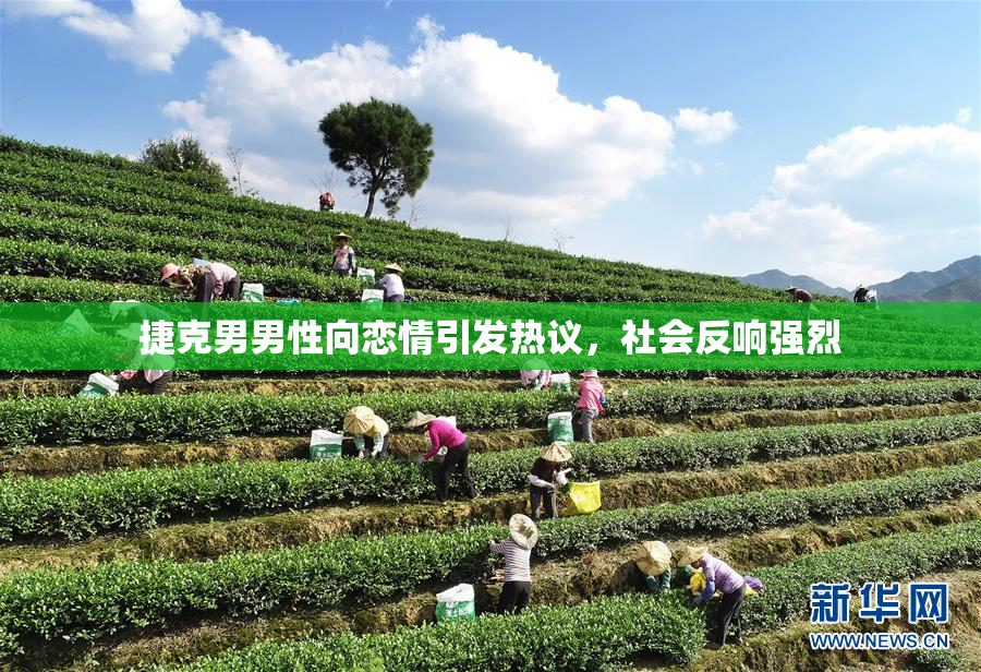 捷克男男性向恋情引发热议，社会反响强烈