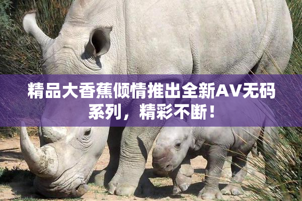 精品大香蕉倾情推出全新AV无码系列，精彩不断！