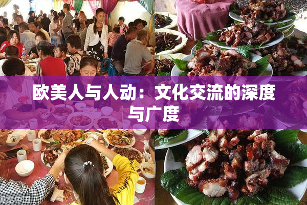 欧美人与人动：文化交流的深度与广度