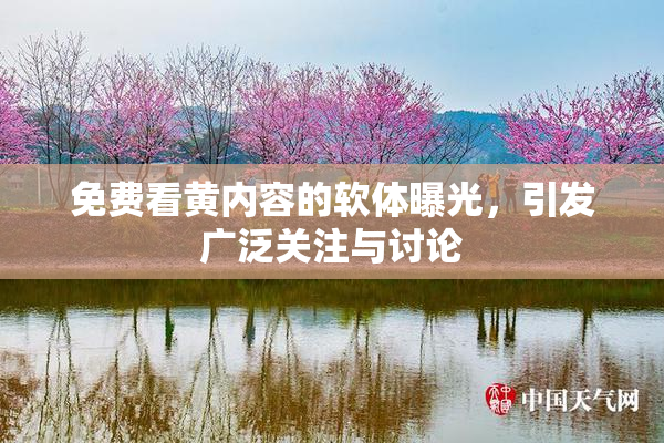 免费看黄内容的软体曝光，引发广泛关注与讨论