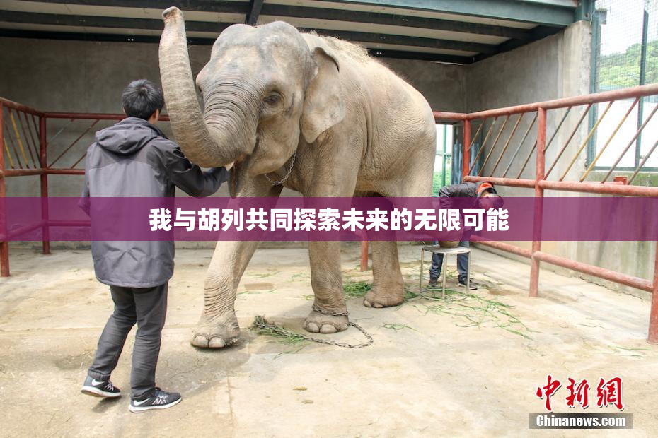 我与胡列共同探索未来的无限可能