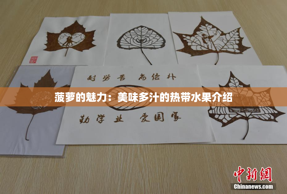 菠萝的魅力：美味多汁的热带水果介绍