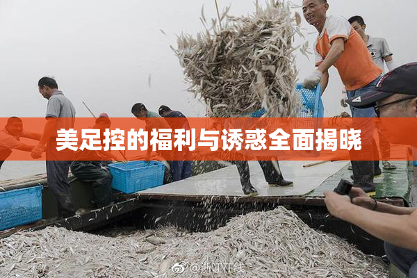 美足控的福利与诱惑全面揭晓