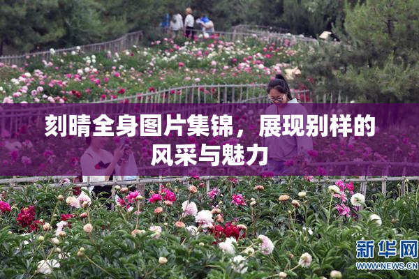刻晴全身图片集锦，展现别样的风采与魅力