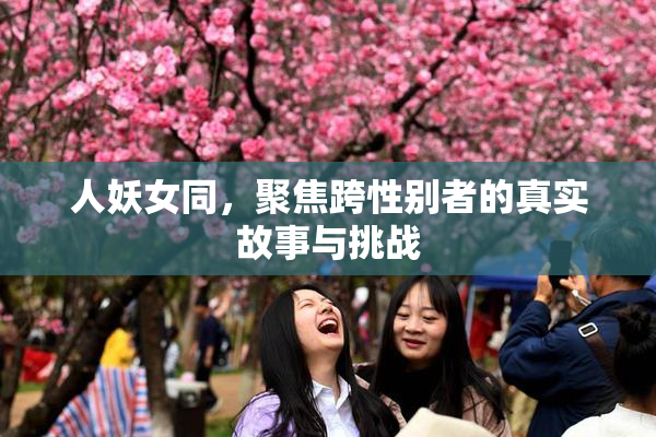 人妖女同，聚焦跨性别者的真实故事与挑战