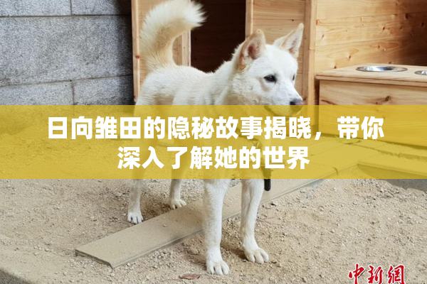 日向雏田的隐秘故事揭晓，带你深入了解她的世界