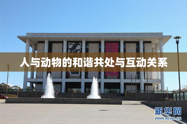 人与动物的和谐共处与互动关系