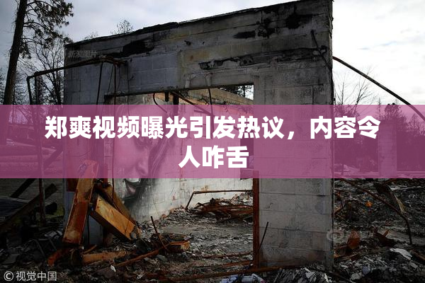 郑爽视频曝光引发热议，内容令人咋舌