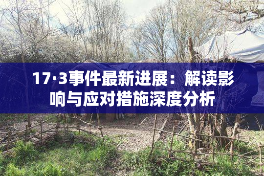 17·3事件最新进展：解读影响与应对措施深度分析