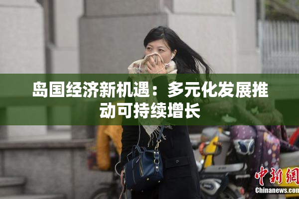 岛国经济新机遇：多元化发展推动可持续增长
